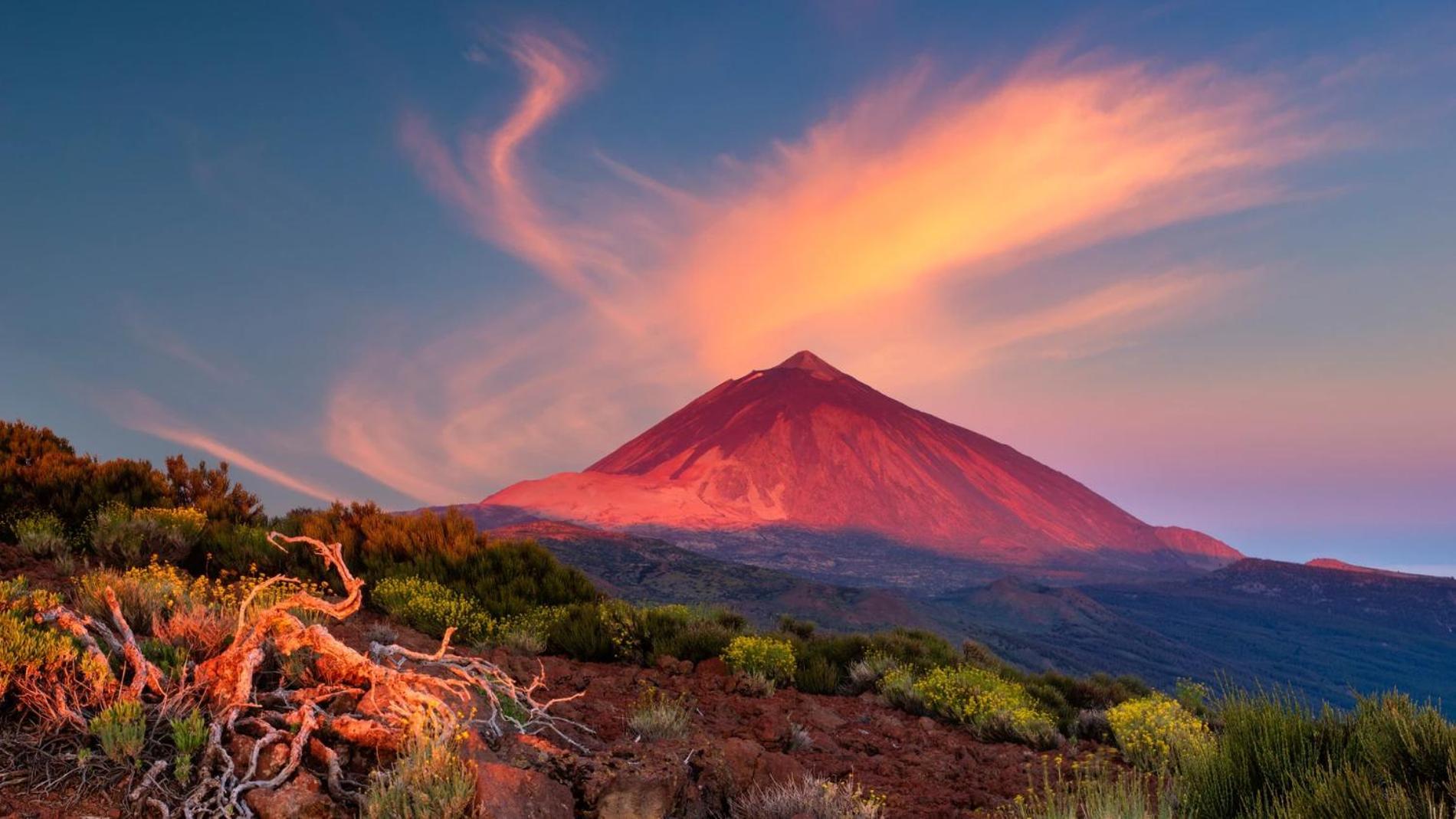 Las Palmeras Puertito de Guimar Zewnętrze zdjęcie