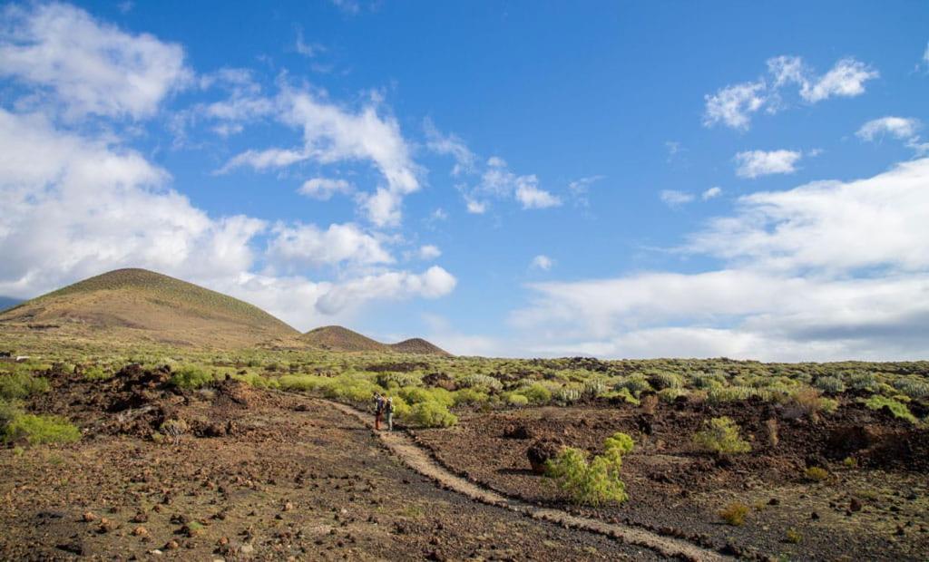 Las Palmeras Puertito de Guimar Zewnętrze zdjęcie